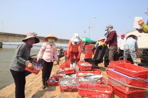 Tạm ứng 3.000 tỷ đồng cho ngư dân 4 tỉnh miền Trung ảnh 1